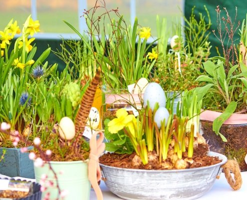 Ostermarkt auf der Rosenburg