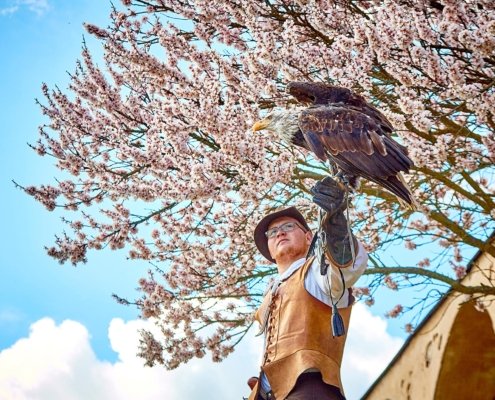 Ostermarkt auf der Rosenburg